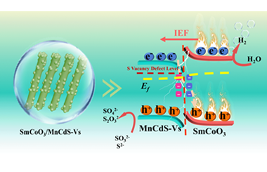 Sulfur-vacancy engineered SmCoO3/MnCdS S-scheme heterojunction for efficient photothermal-photocatalytic H2 evolution 2026.100965